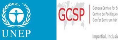 President BIPSS visits Geneva for Humanitarian Interventions Conference, 03 December 2013 5