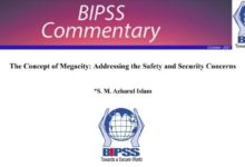 The Concept of Megacity Addressing the Safety and Security Concerns