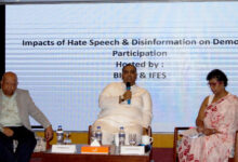 Impacts of Hate Speech and Disinformation on Democratic Participation