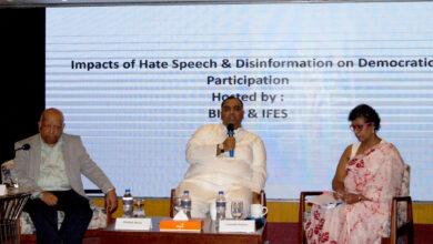 Impacts of Hate Speech and Disinformation on Democratic Participation