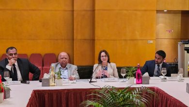 South Asia’s Democratic Trajectory and Regional Geopolitical Challenges 14