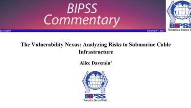The Vulnerability Nexus: Analyzing Risks to Submarine Cable Infrastructure