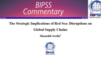 The Strategic Implications of Red Sea: Disruptions on Global Supply Chains