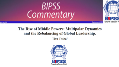 The Rise of Middle Powers: Multipolar Dynamics and the Rebalancing of Global Leadership 13