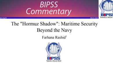 The "Hormuz Shadow": Maritime Security Beyond the Navy