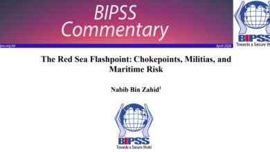 The Red Sea Flashpoint: Chokepoints, Militias, and Maritime Risk 3