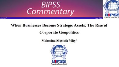When Businesses Become Strategic Assets: The Rise of Corporate Geopolitics 4