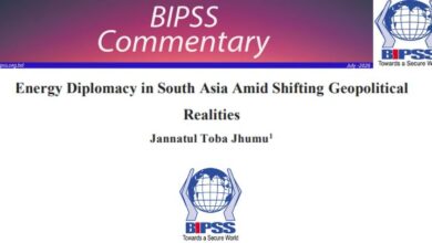 Energy Diplomacy in South Asia Amid Shifting Geopolitical Realities 7