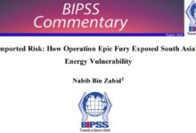 Imported Risk: How Operation Epic Fury Exposed South Asia’s Energy Vulnerability 13